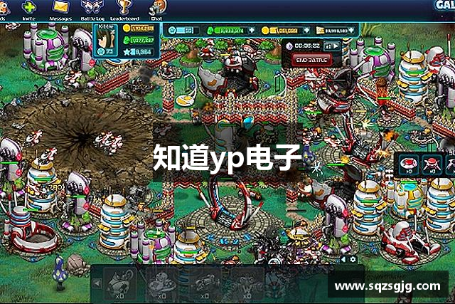 知道yp电子